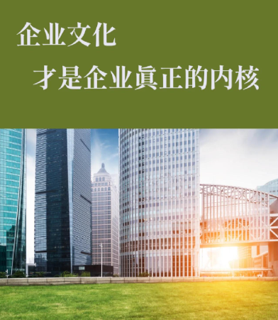 2024年企业级系统架构搭建方案对比：河南沐岛网络科技实践